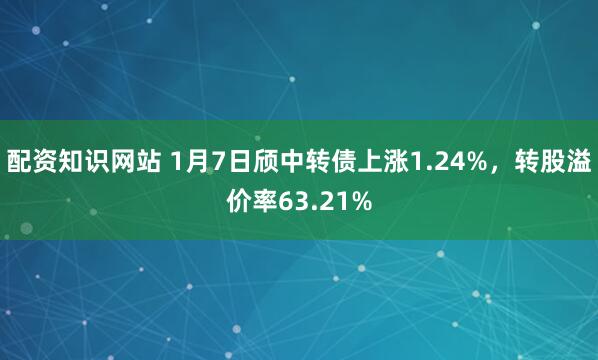 配资知识网站 1月7日颀中转债上涨1.24%，转股溢价率63.21%