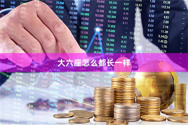 大六座怎么都长一样